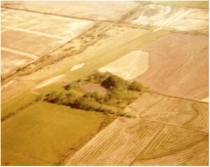 Aerial Photo of The Grove on Prairie Vermilion 1970 - Town of Maurice Louisiana