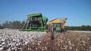 A modern cotton picking machine in maurice cotton fields